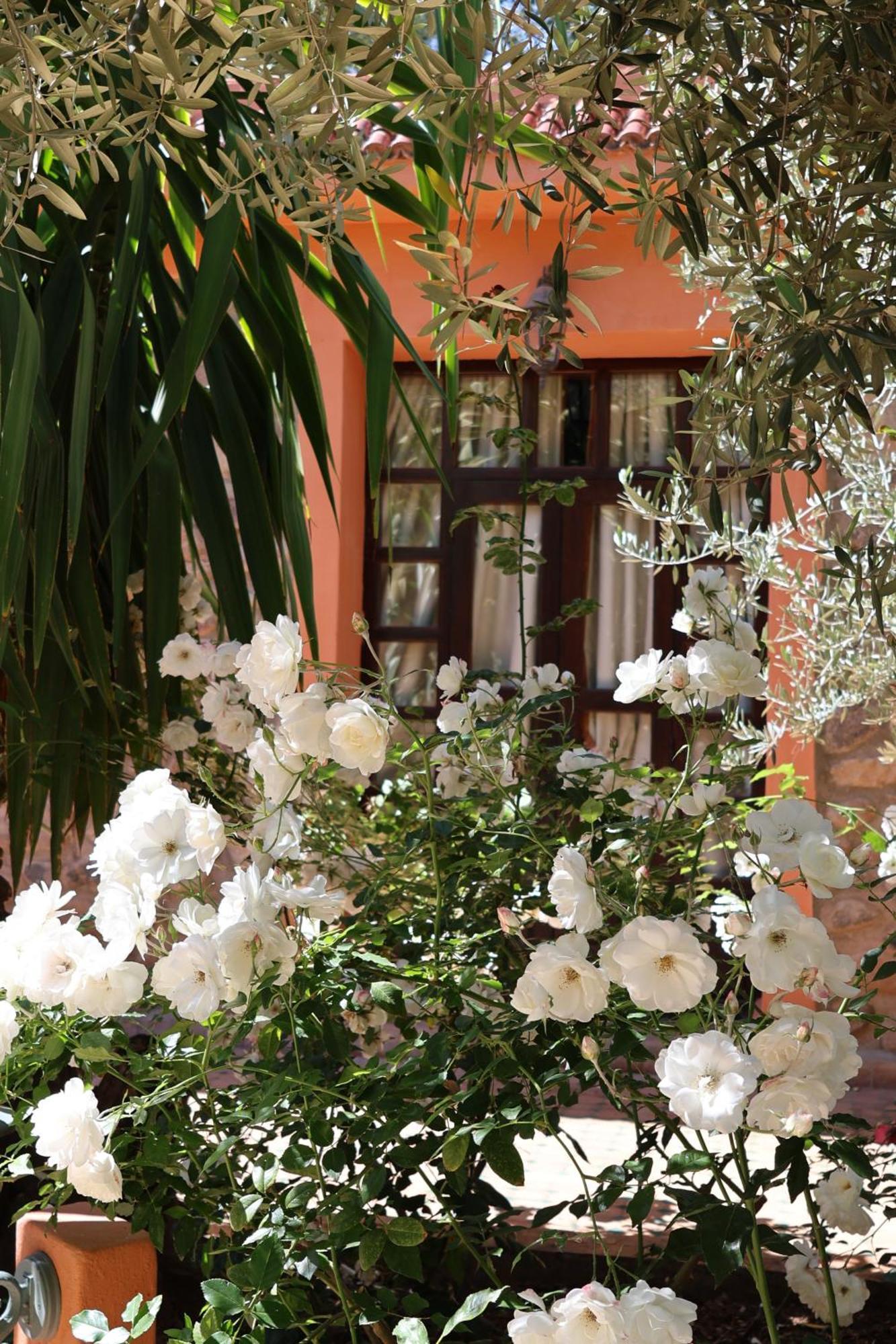 Domaine De La Roseraie Resort 奥伊俄贞 外观 照片