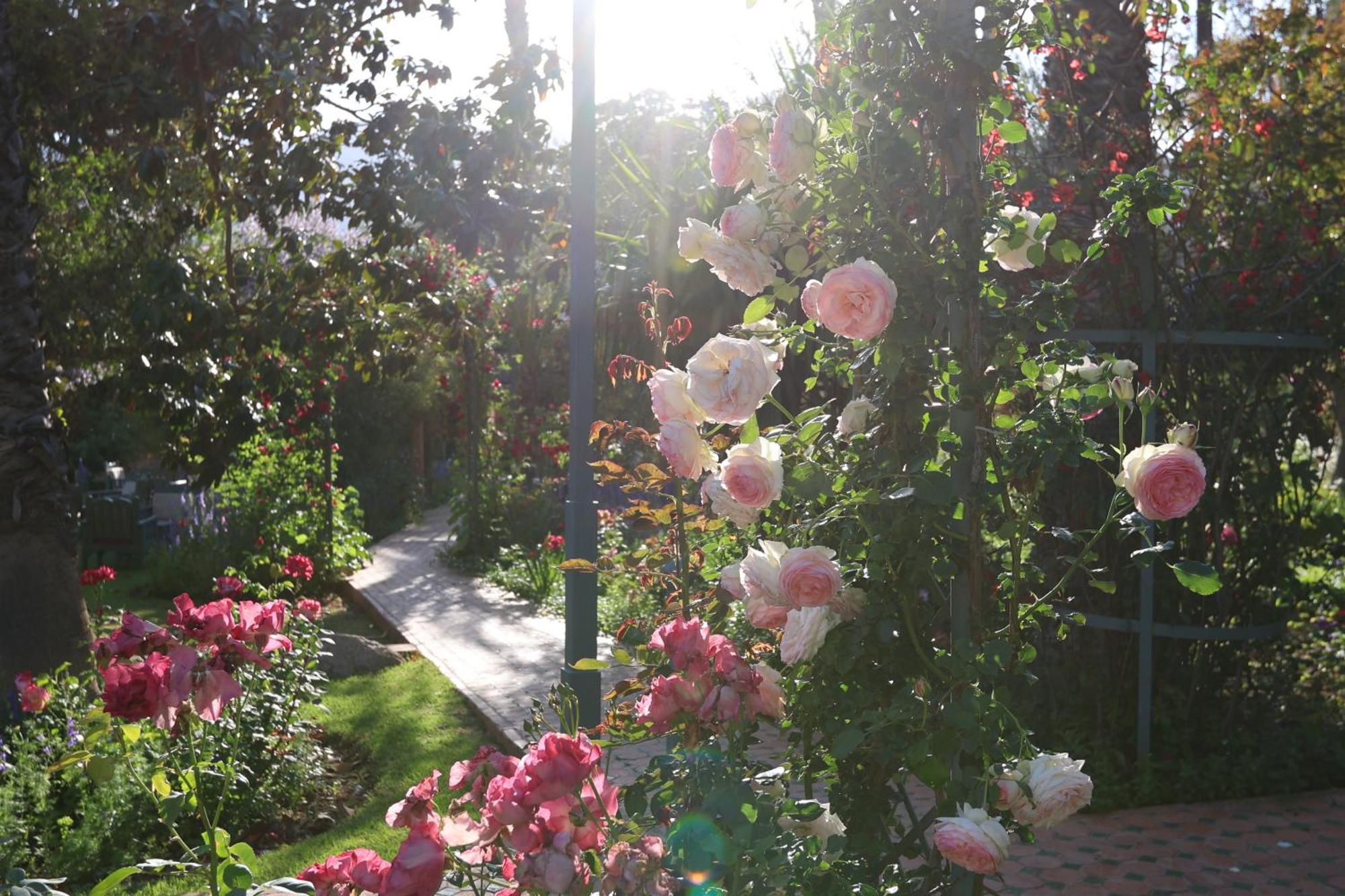 Domaine De La Roseraie Resort 奥伊俄贞 外观 照片